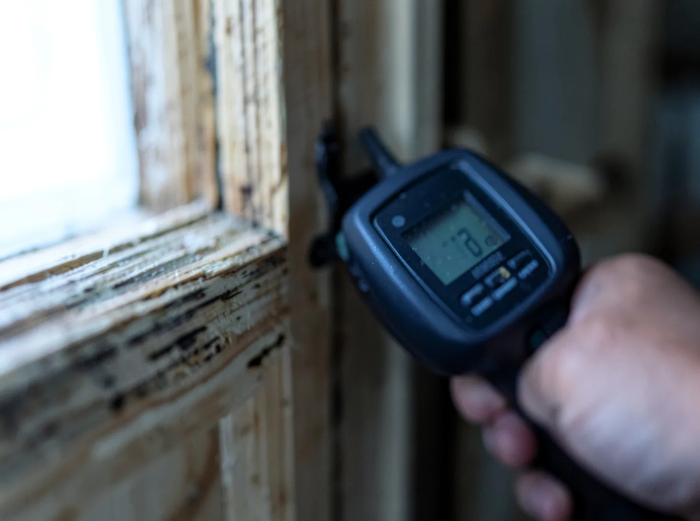 Moisture Inspection And Documentation in Denison, IA